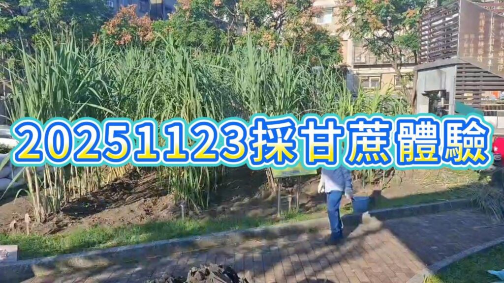 糖廍文化協會，台北製糖所 ，艋舺美食