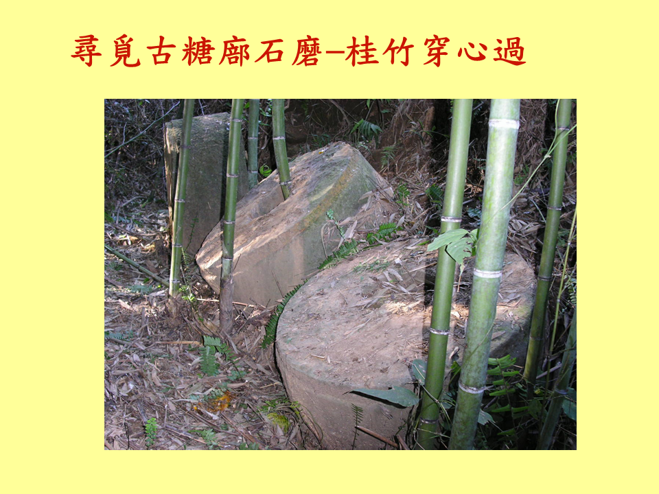 糖廍文化協會，台北製糖所 ，文化園區