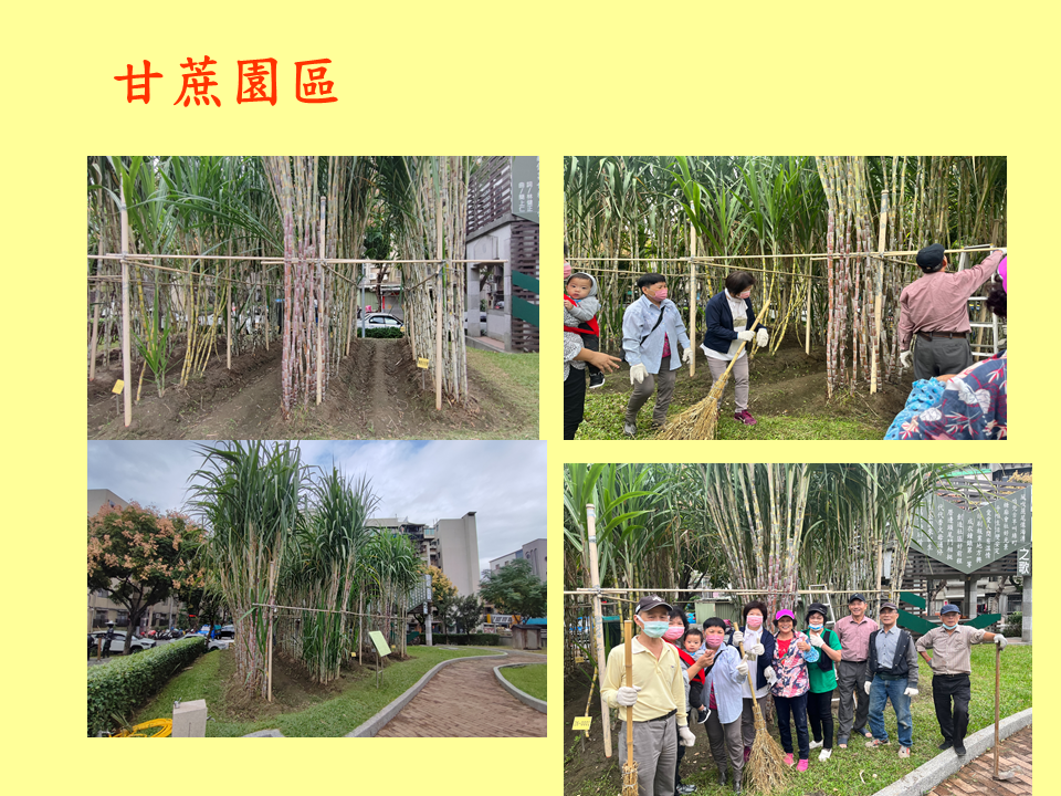 糖廍文化協會，台北製糖所 ，文化園區